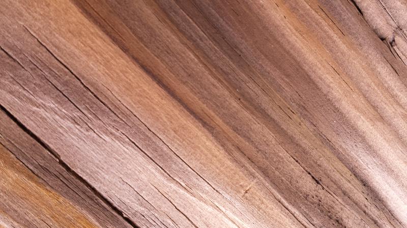 Wood texture, February 2015