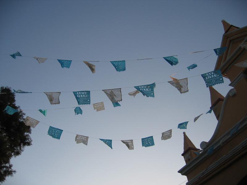 Mexican flags 2008